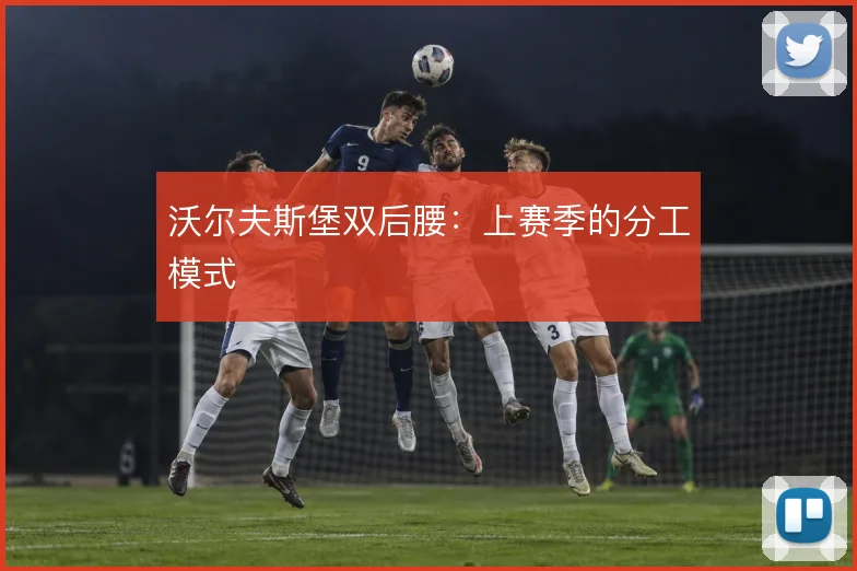 沃尔夫斯堡双后腰:上赛季的分工模式